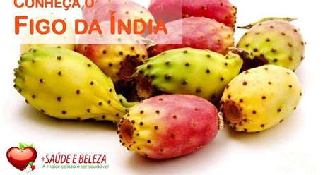 figo da india|Figo da índia benefícios e malefícios deste exótico fruto.